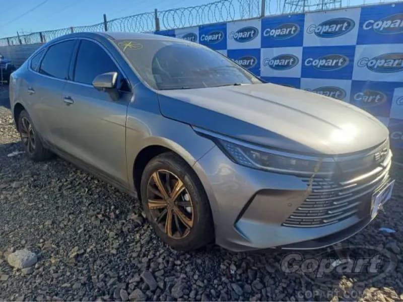 BYD KING