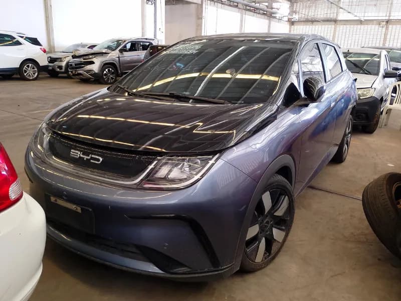 BYD DOLPHIN PLUS