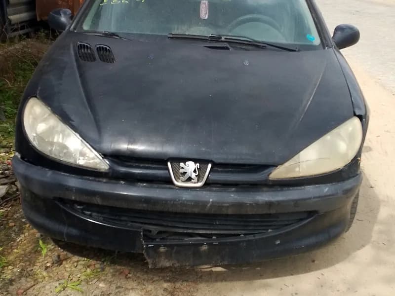 PEUGEOT 206