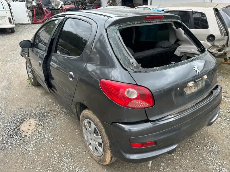 PEUGEOT 207