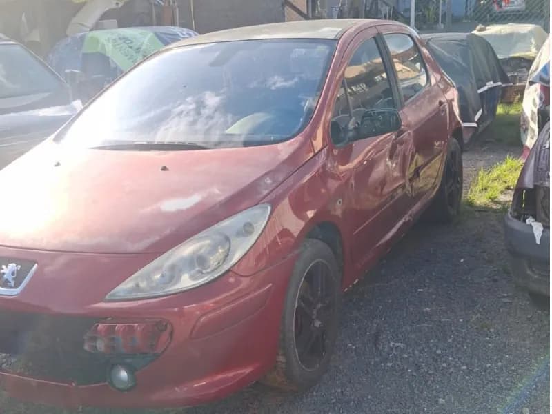 PEUGEOT 307