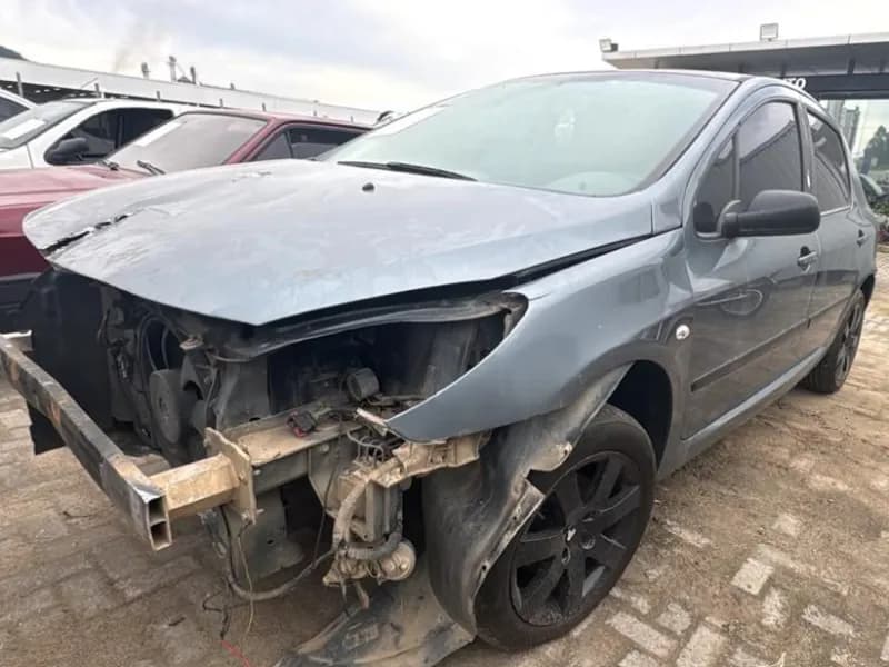 PEUGEOT 307